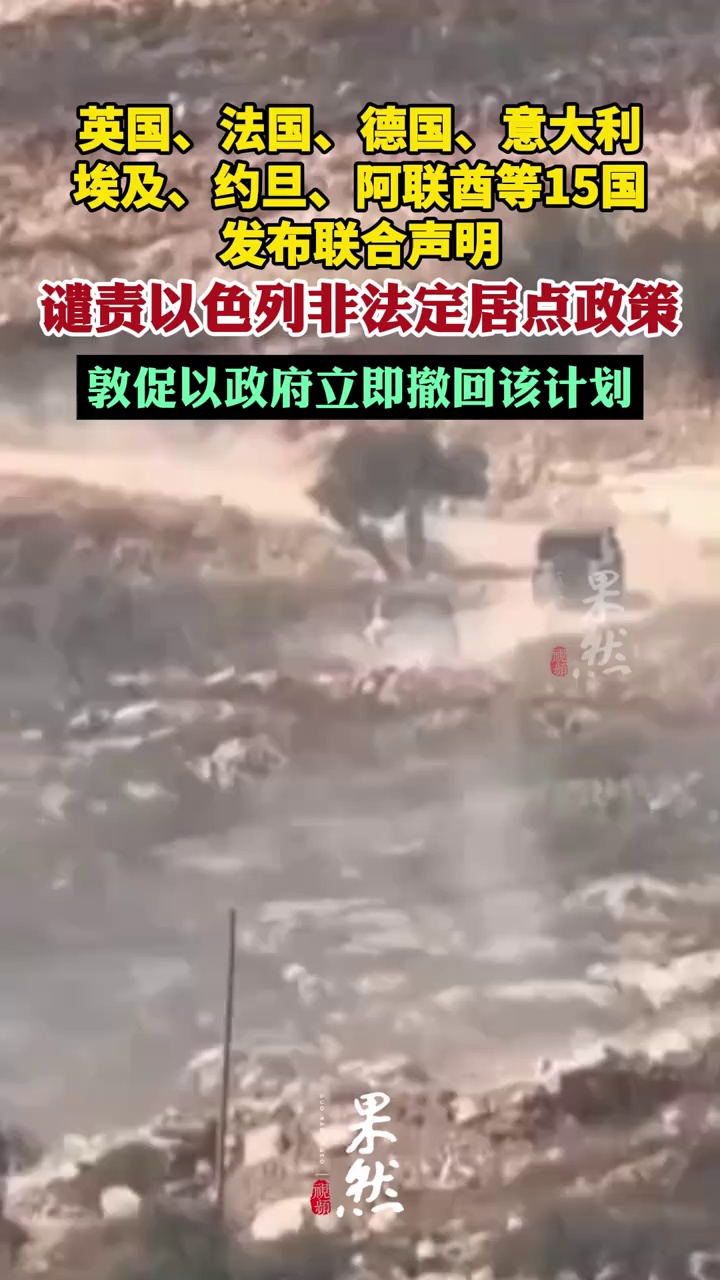 英国、法国、德国、意大利、荷兰、挪威、加拿大、埃及、约旦、阿联酋、印度尼西亚、巴基斯坦、土耳其、沙特、卡塔尔等15国，谴责以色列
