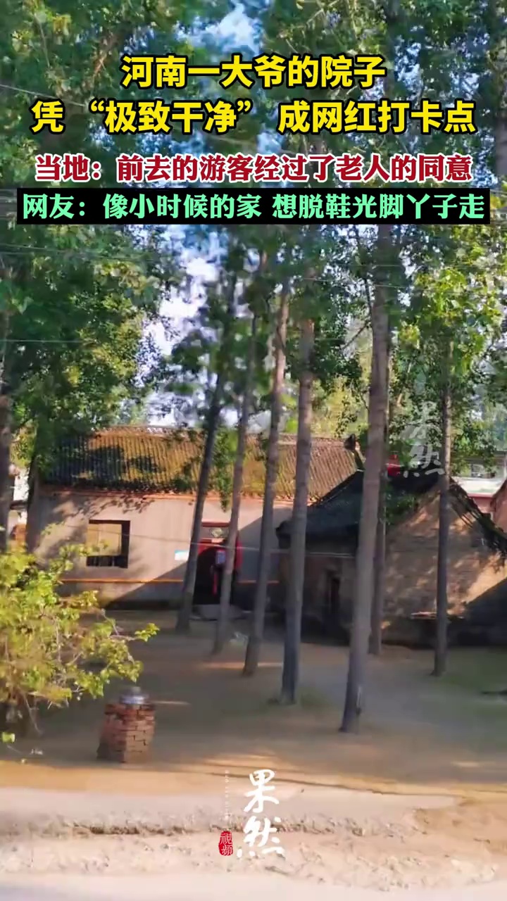 河南一大爷的院子凭 “极致干净” 成网红打卡点