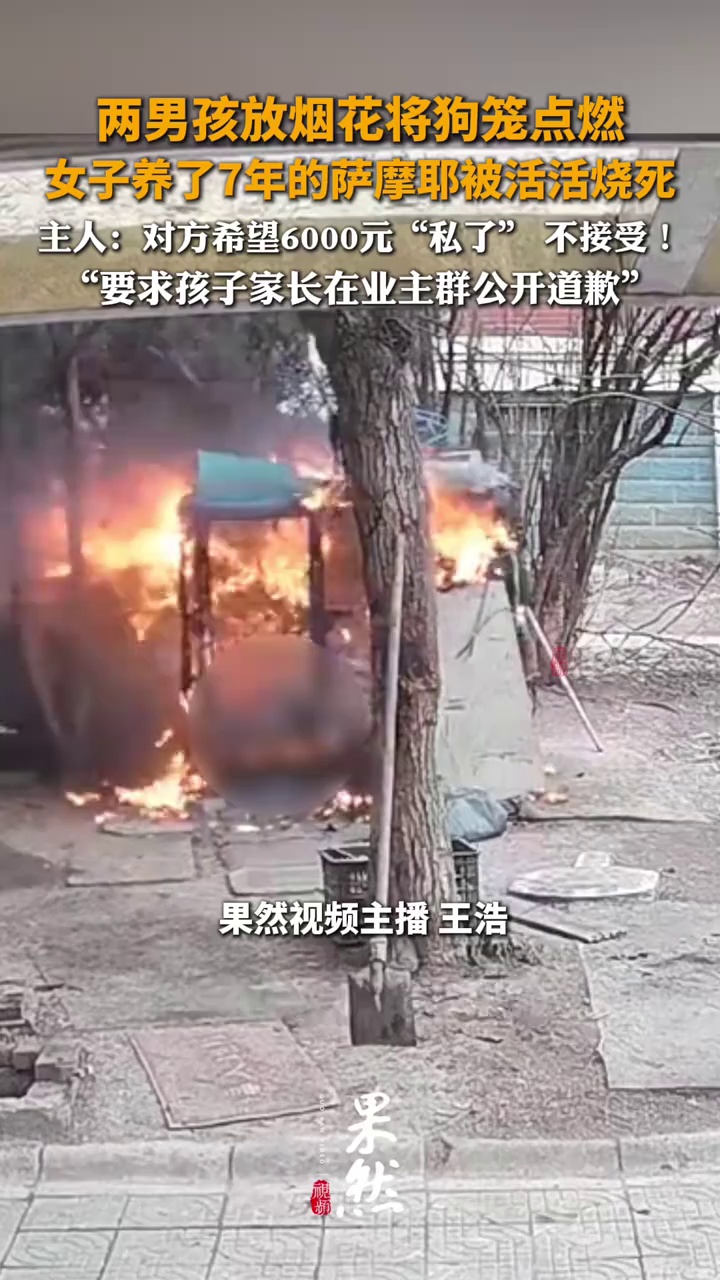 两男孩玩火点燃狗笼 养了7年的萨摩耶被活活烧死 主人：对方希望6000元“私了”  不接受！ “要求孩子家长在业主群公开道歉”