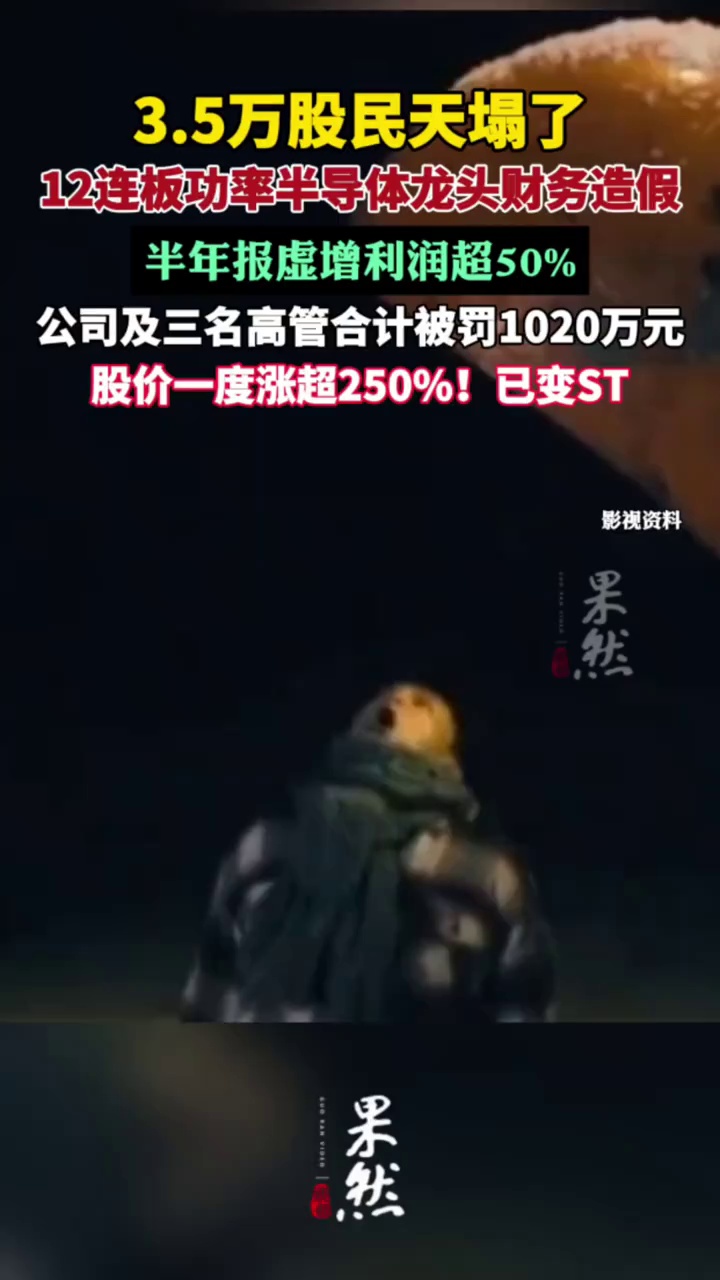 功率半导体龙头惊天财务造假!