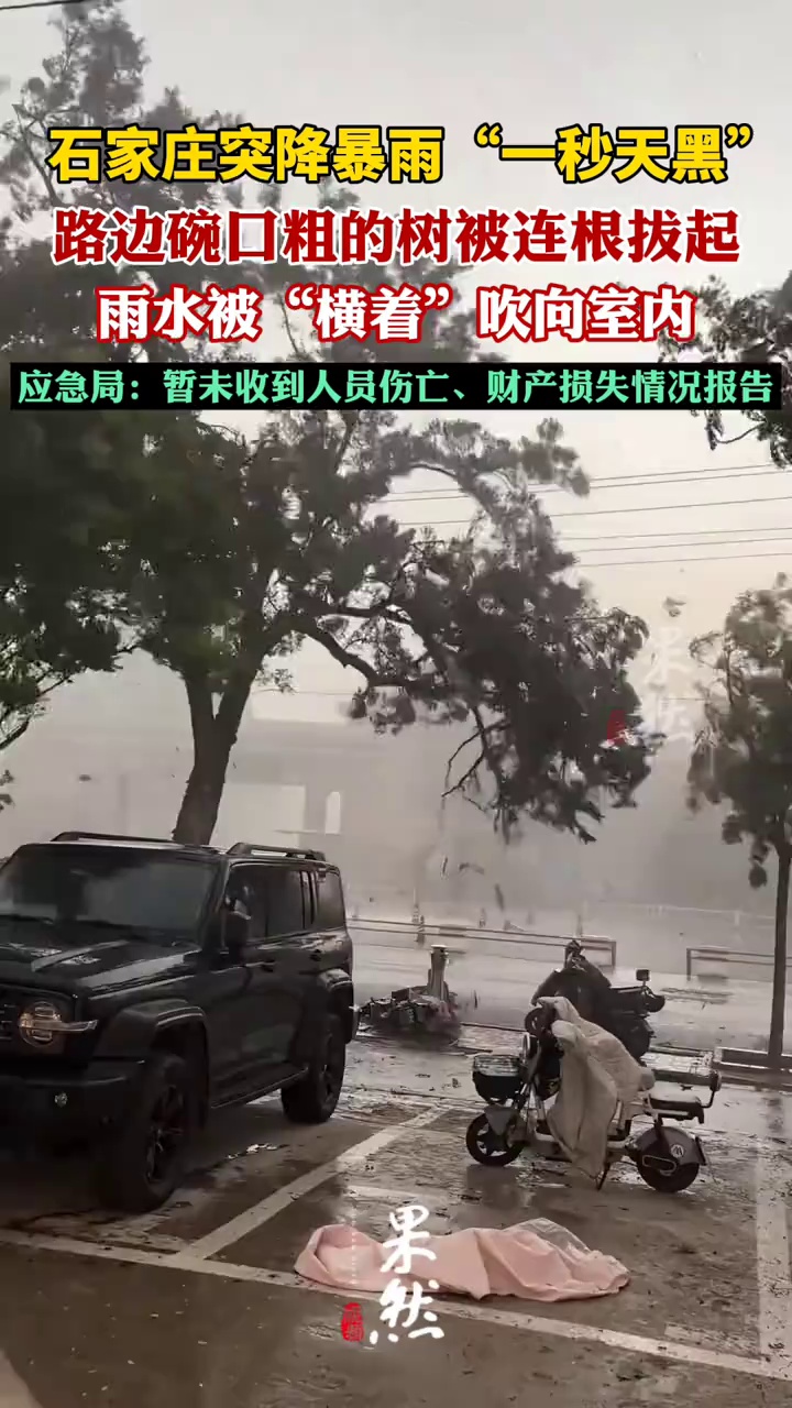 石家庄突降暴雨“一秒天黑”
