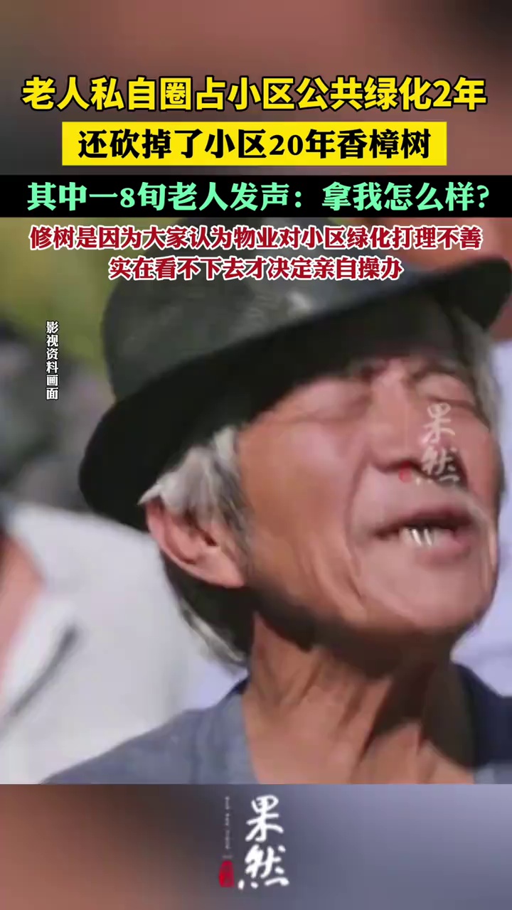 8旬老人砍掉小区20年香樟树（新闻坊）