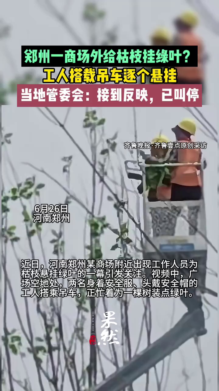 （原创）郑州某商场外工人给枯枝挂绿叶
