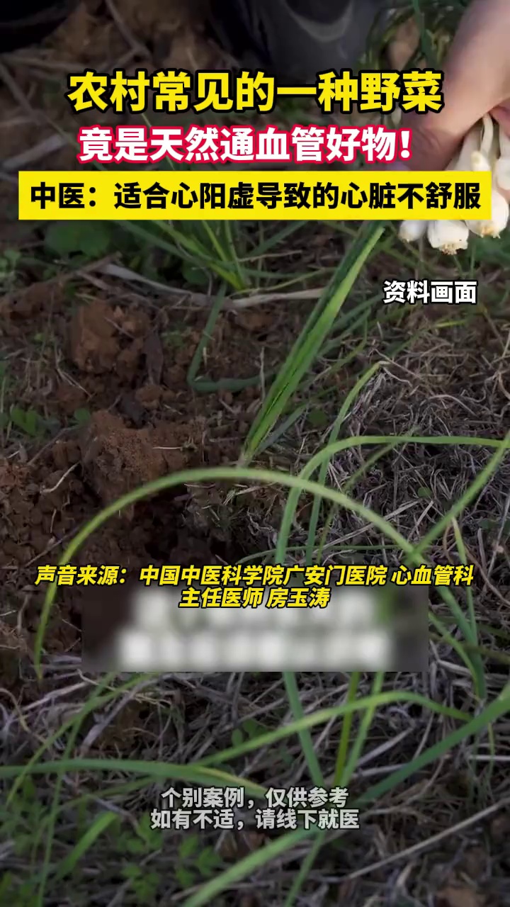 农村常见的一种野菜，竟是天然通血管好物！中医：适合心阳虚导致的心脏不舒服