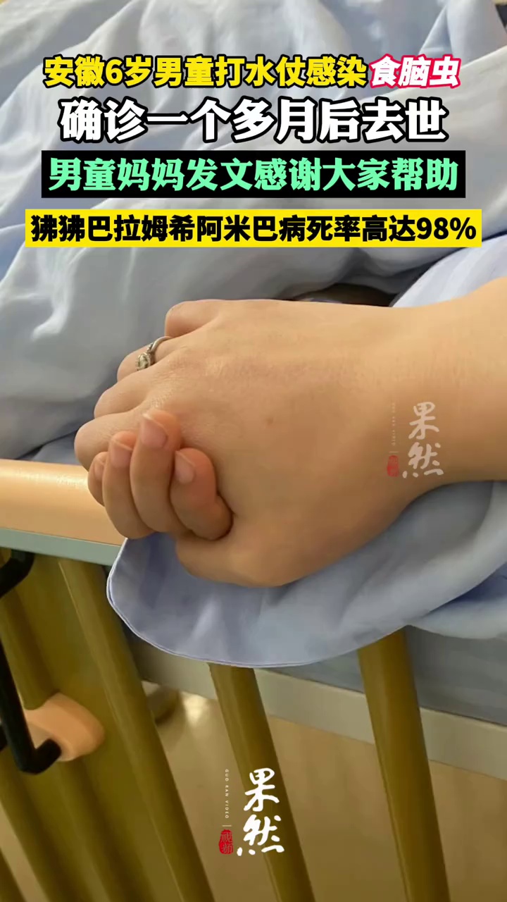 6岁男童打水仗后感染食脑虫去世，妈妈发文感谢所有帮助过的朋友；食脑虫病死率高达98%（现代快报）