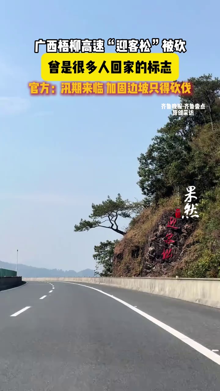 （原创）广西梧柳高速“迎客松”被砍，官方回应
