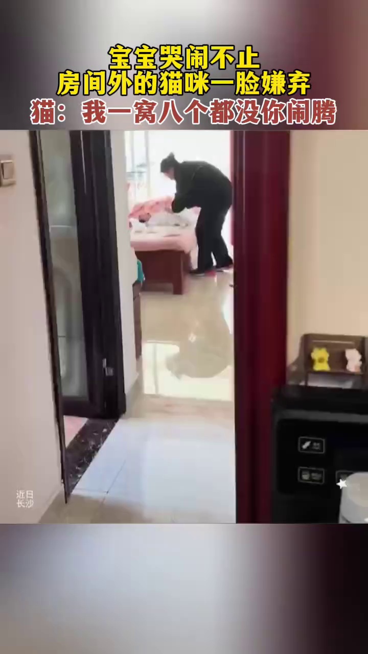 宝宝哭闹不止，房间外的猫咪一脸嫌弃！猫：我一窝生八个都没你闹腾！