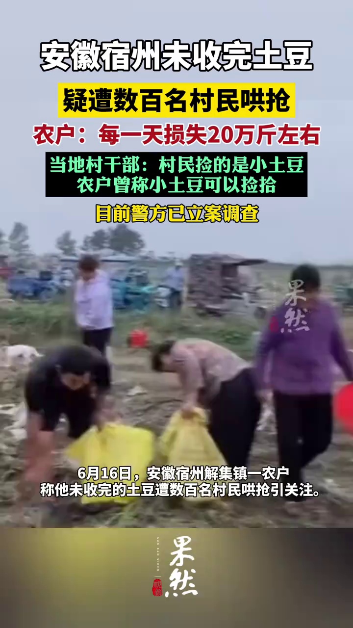 安徽宿州未收完土豆疑遭数百名村民哄抢，警方立案调查（新京报）