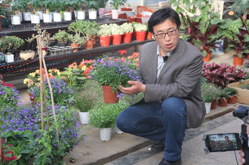 应对疫情冲击让王正印迎来了"上线经营"的"疫"外收获.