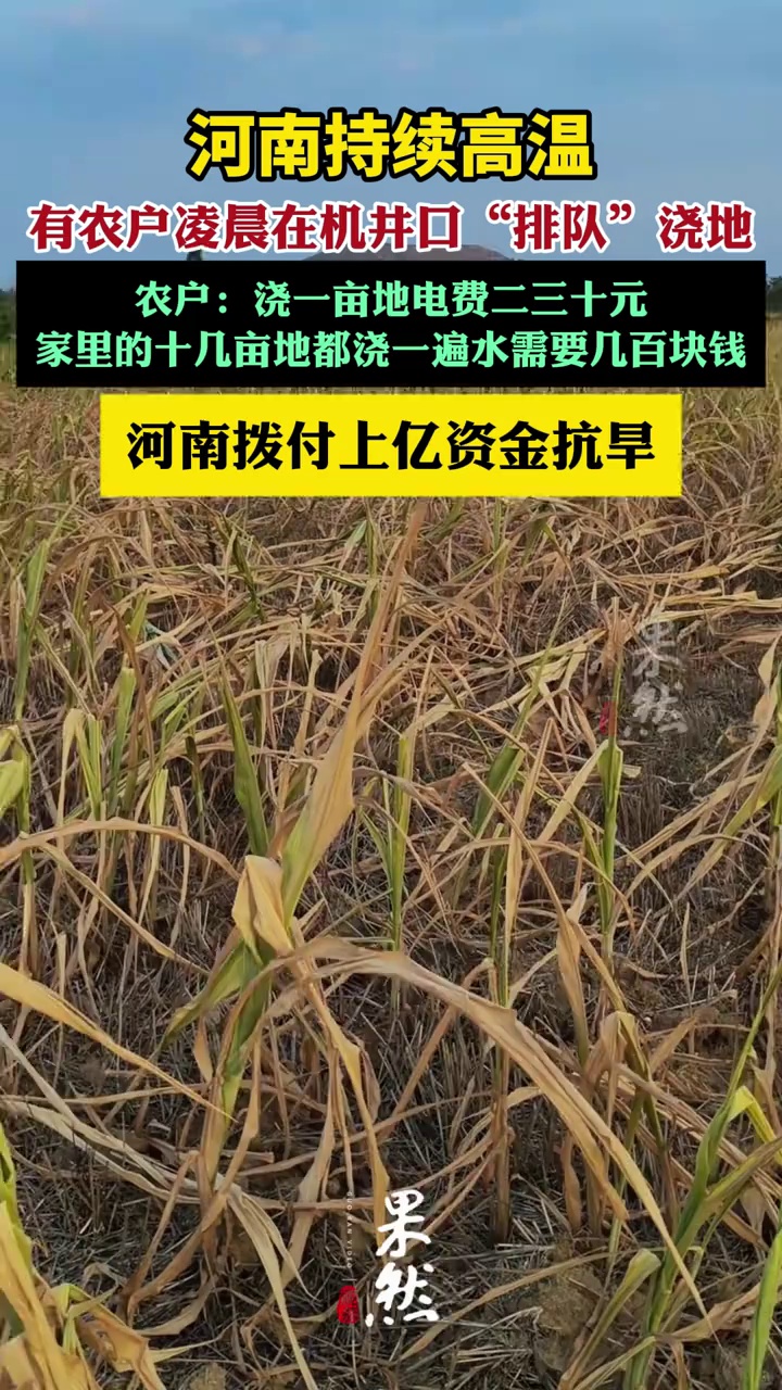 河南持续高温有农户凌晨排队浇地（央视新闻 红星新闻）