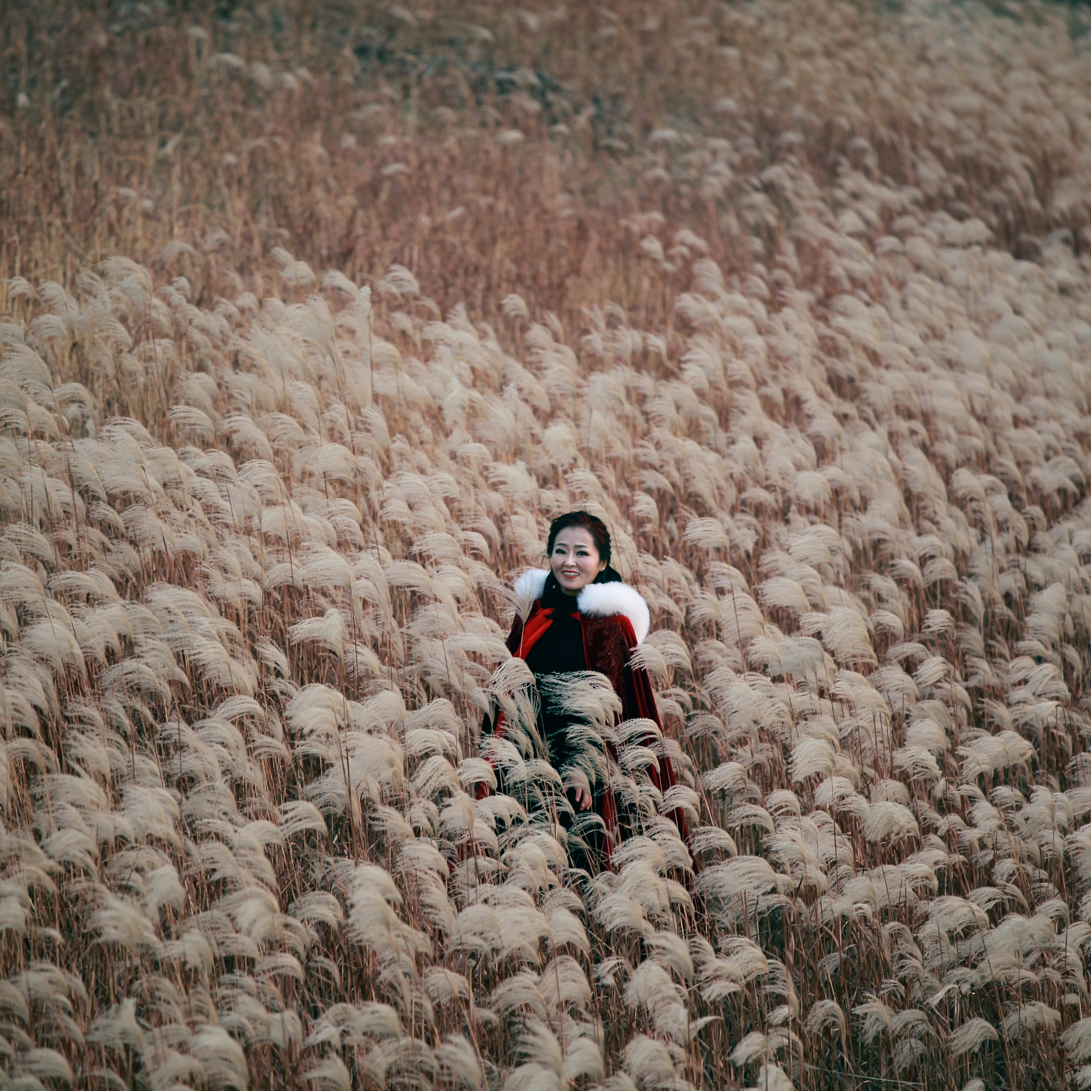 这就是山东山东大嫚芦花丛中妩媚生
