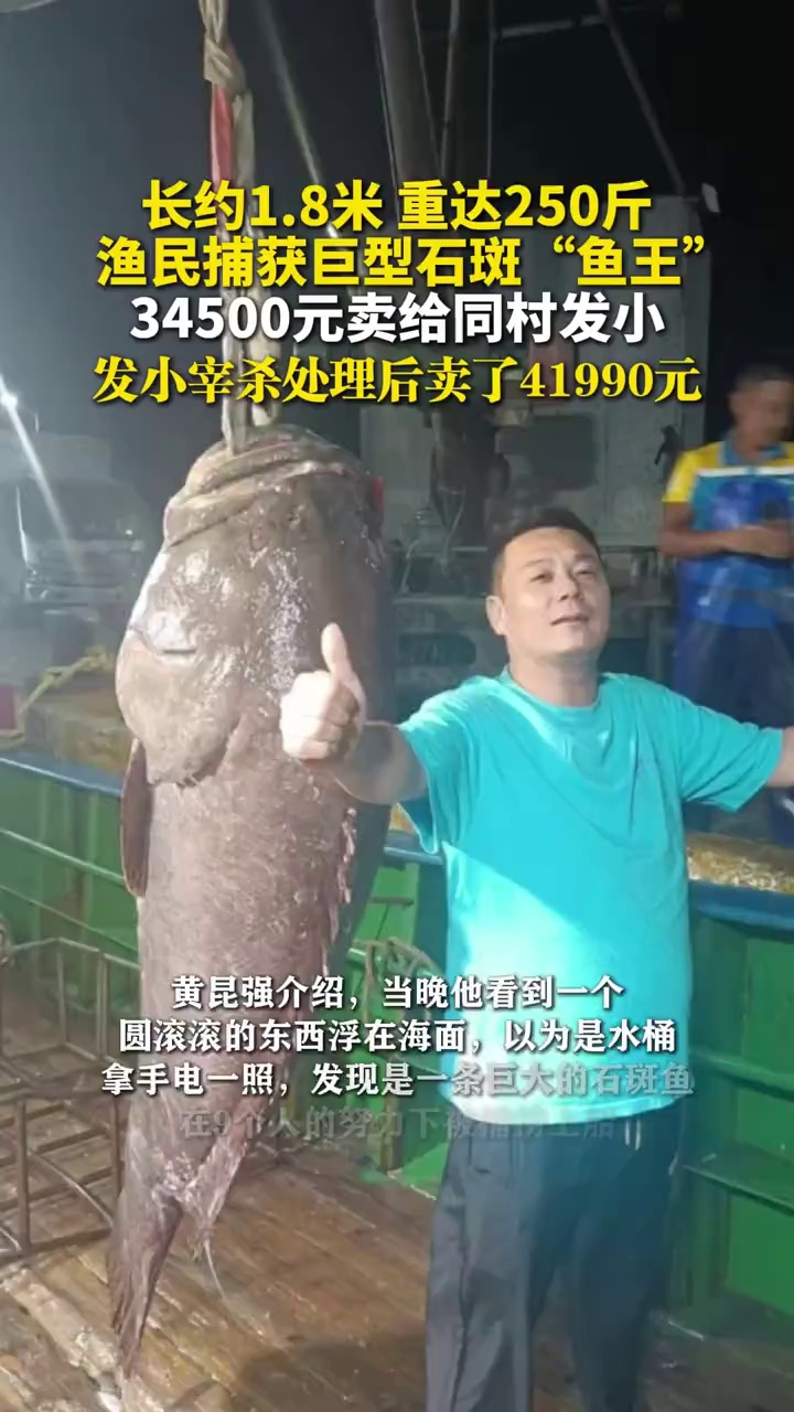 重达250斤，渔民捕获巨型石斑“鱼王”，34500元卖给同村发小，发小处理后卖了41990元