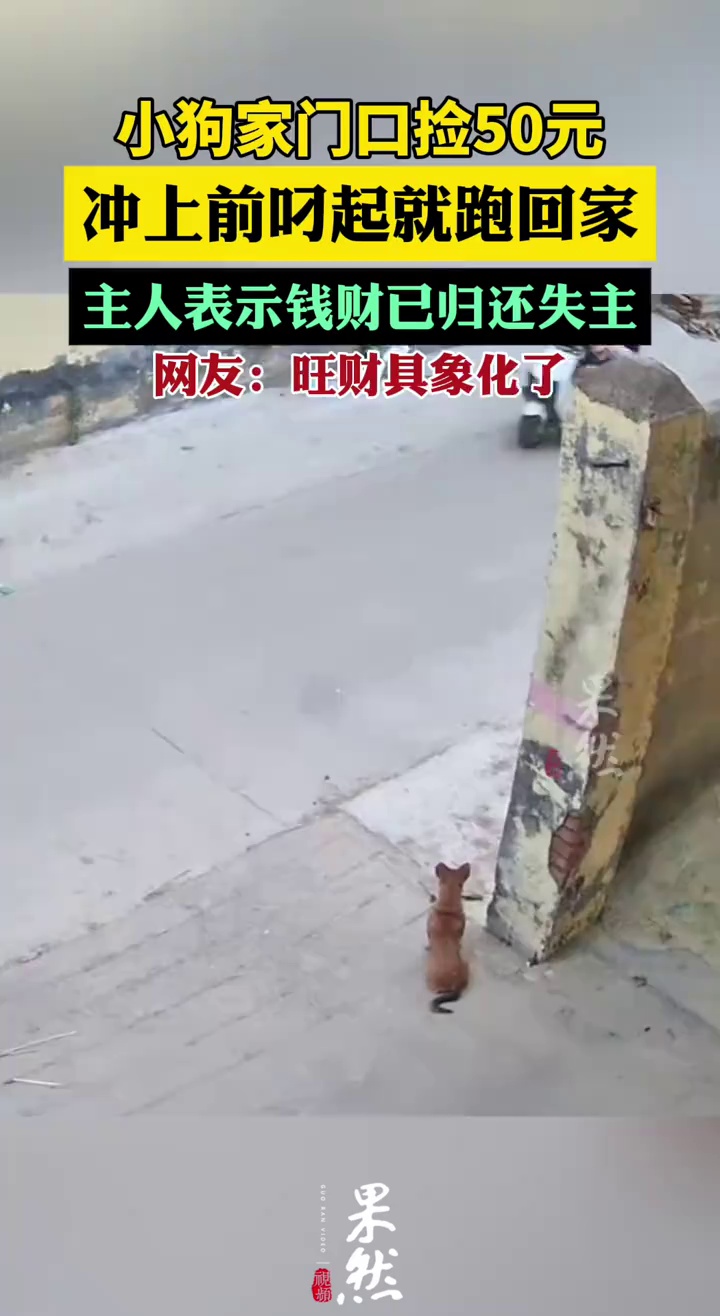 小狗家门口捡50元后转头速跑回家，网友：旺财具象化了（后浪视频）