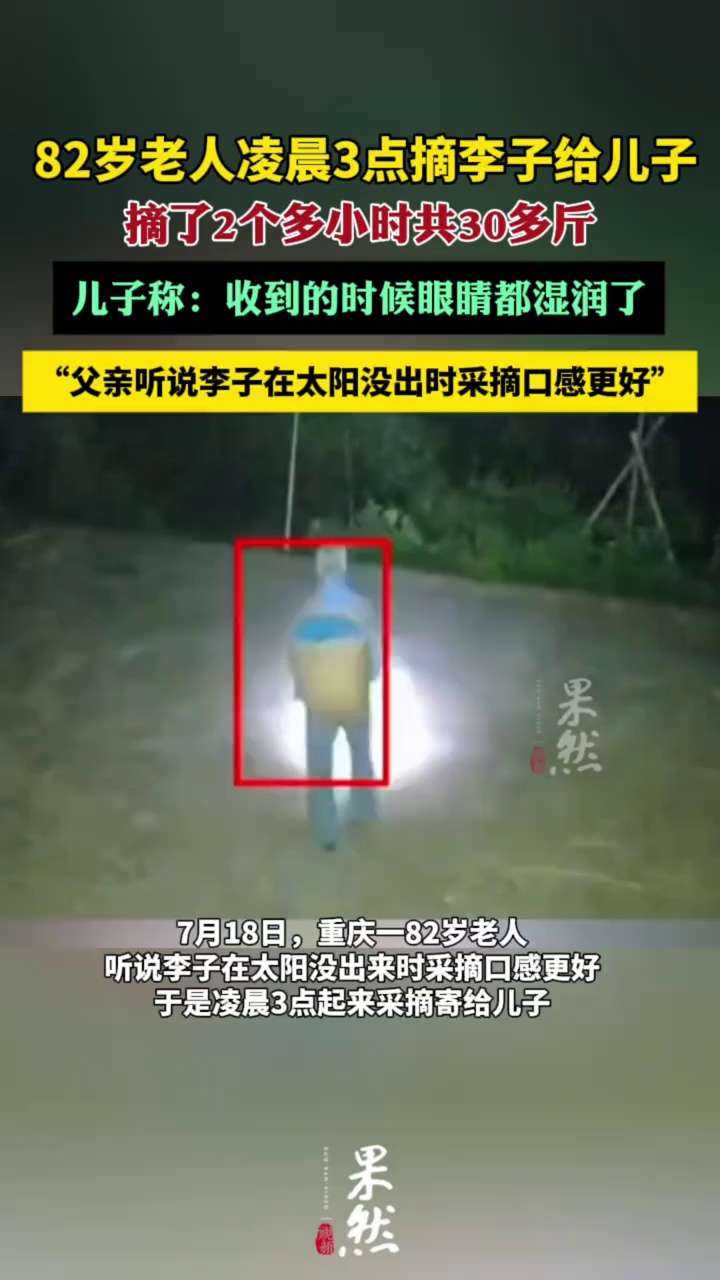 82岁父亲凌晨摘30斤李子，儿子发声（九派新闻）