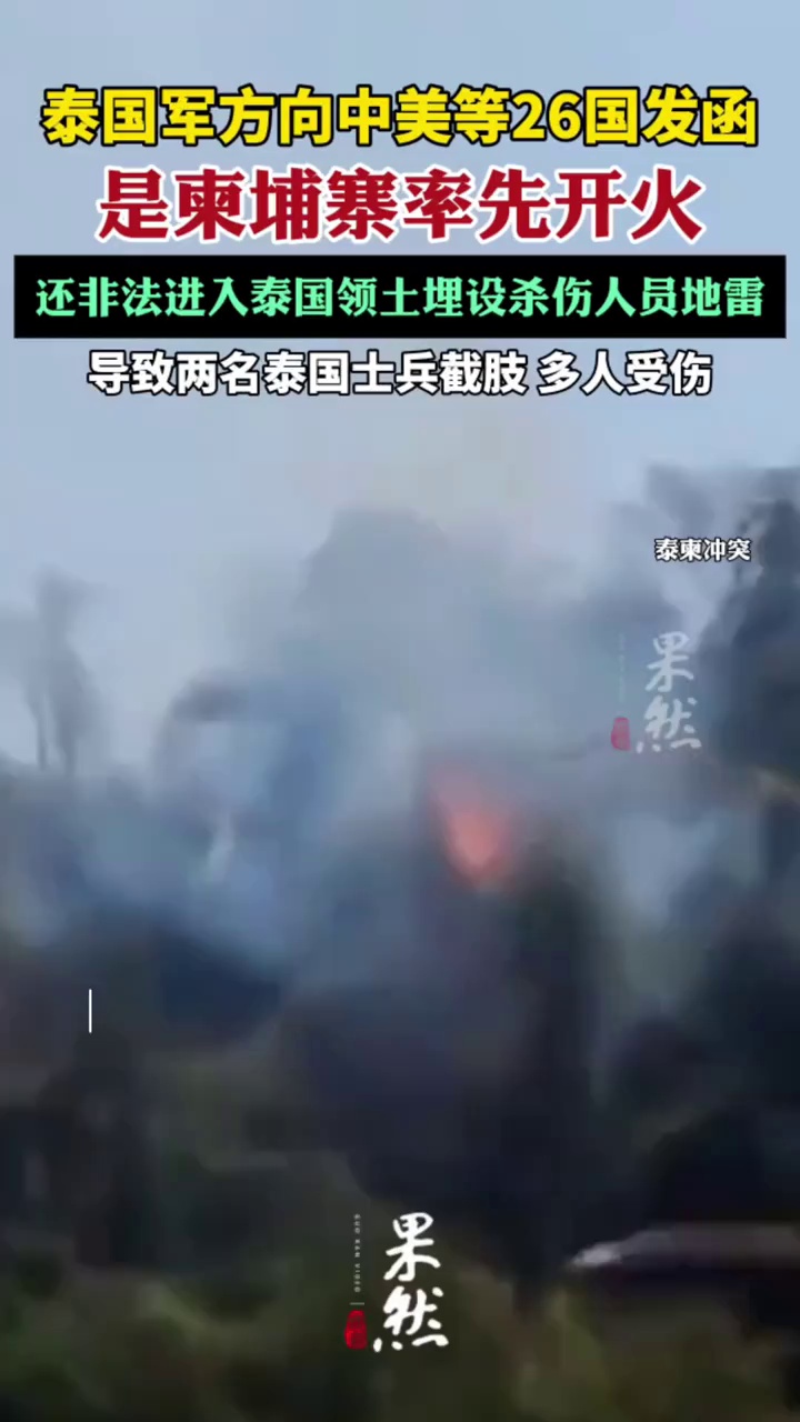 泰国军方，向26国发函（央视新闻）