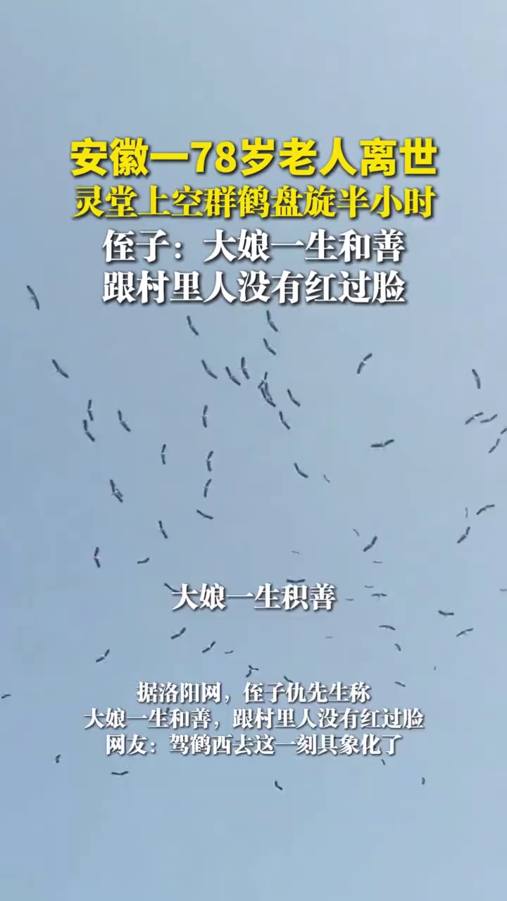 安徽淮南78岁老人离世，灵堂上空群鹤盘旋半小时，侄子：大娘一生和善，跟村里人没有红过脸