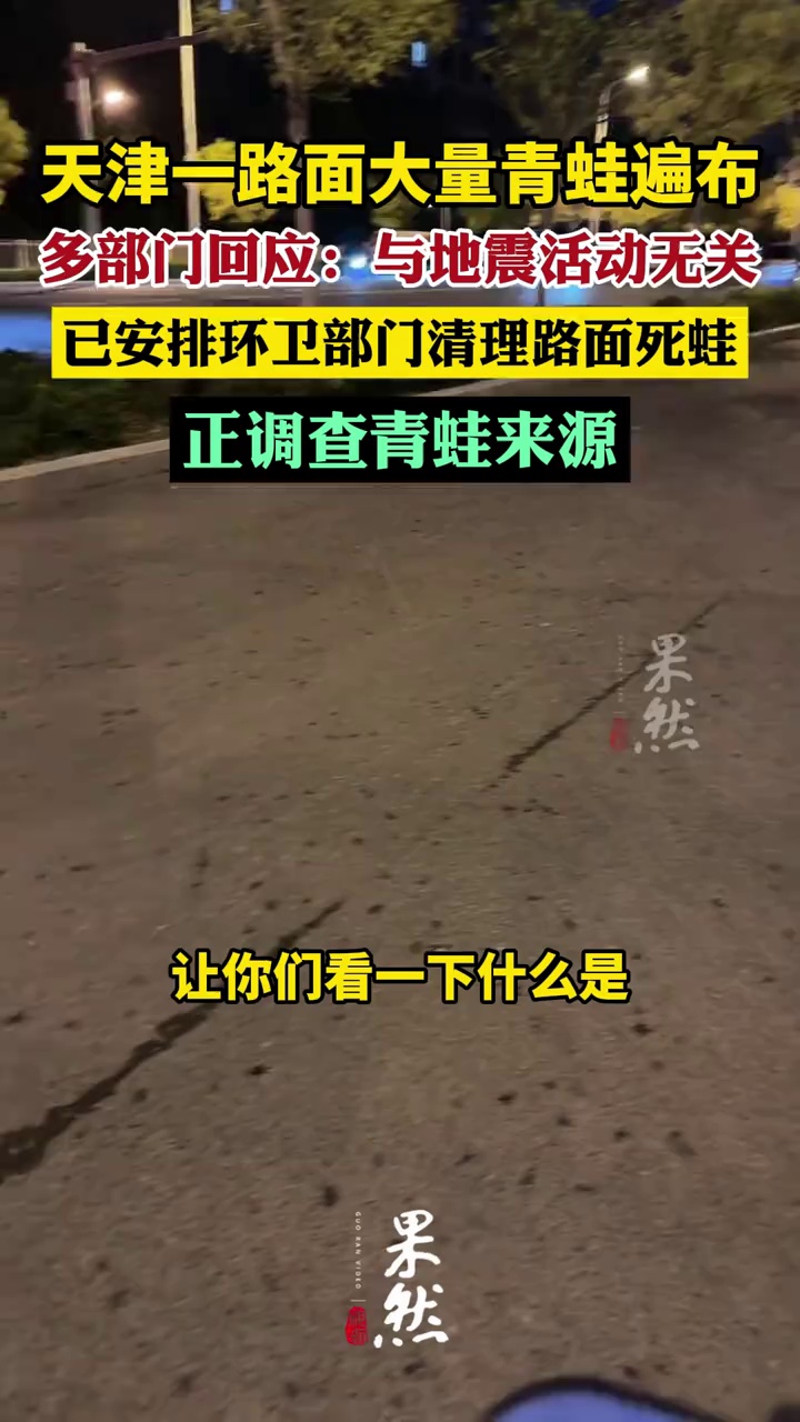 天津一路面大量青蛙遍布（新京报）