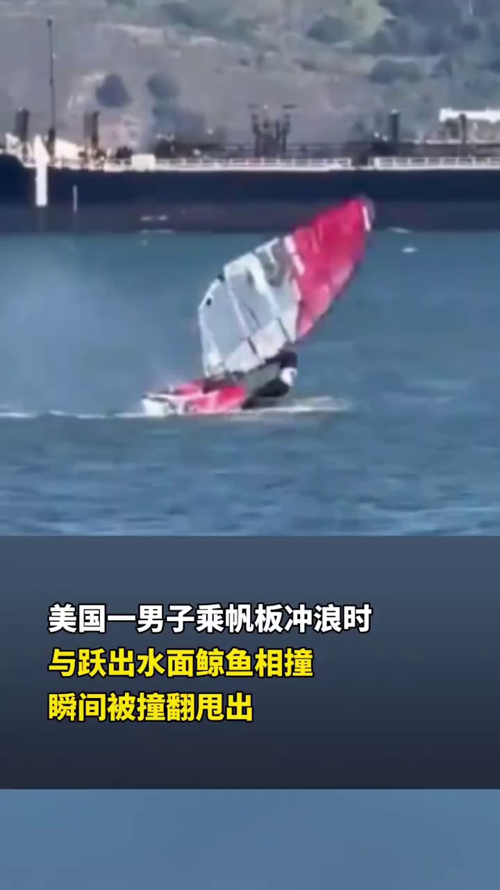美国一男子乘帆板冲浪时，与跃出水面鲸鱼相撞，瞬间被撞翻甩出