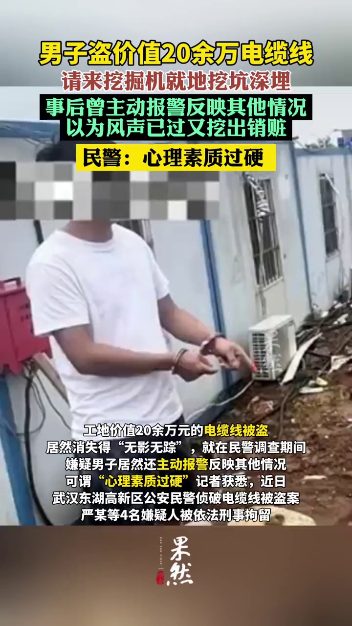 男子盗20余万电缆线就地掩埋后，报警反映其他情况（极目新闻）