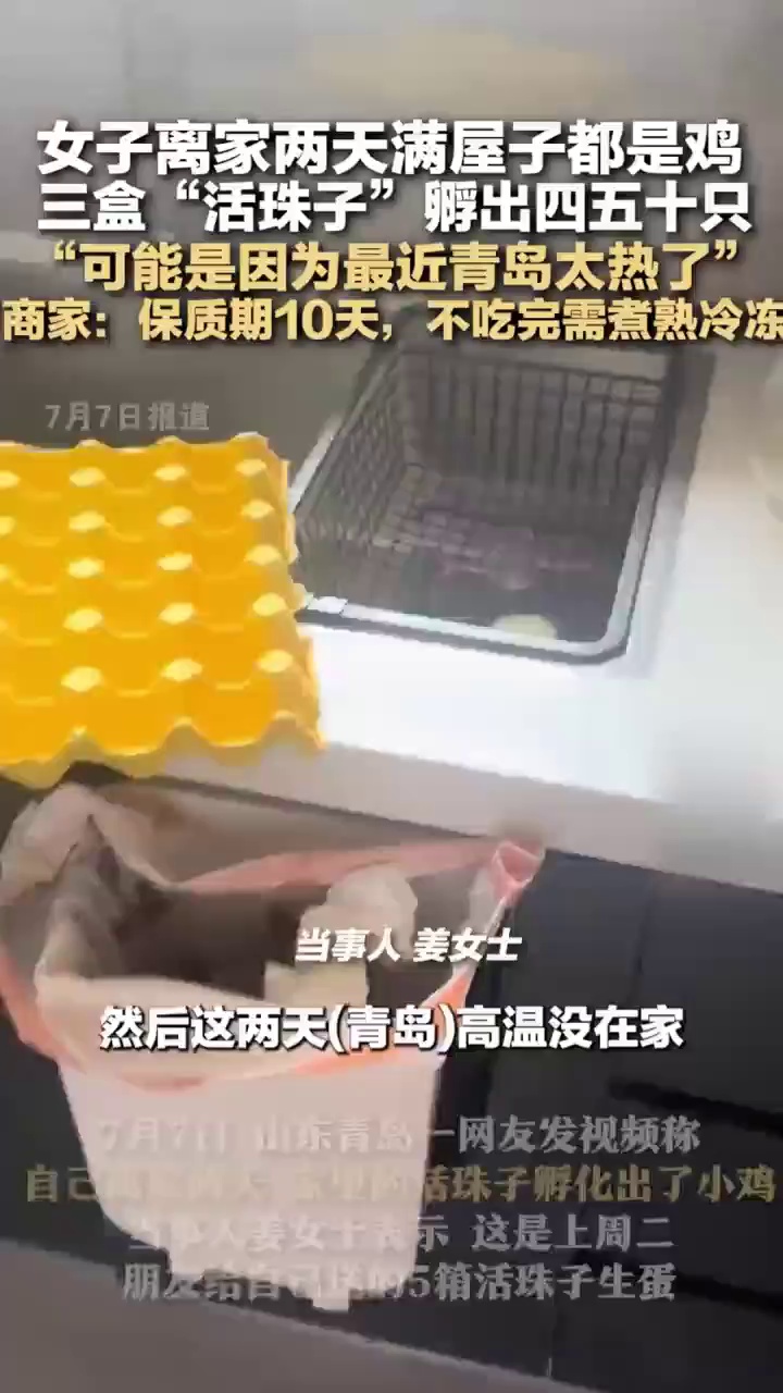女子离家两天活珠子孵出小鸡，一开门愣住了，满屋都是鸡！