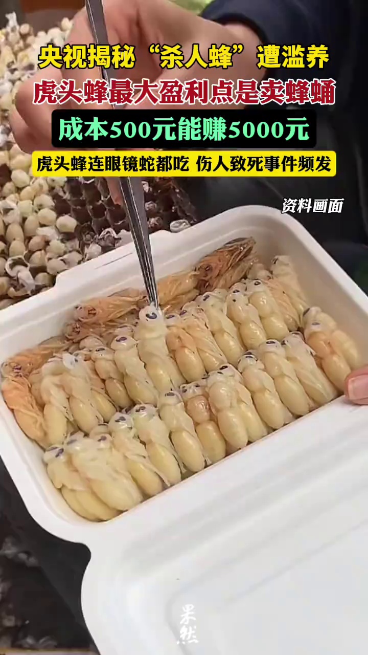 云南、湖南、贵州等省份的一些地区明确要求清退或禁止养殖个别攻击性强、毒性大的虎头蜂品种。但是，在畜牧业现行的相关各种文件及法规中均未对虎头蜂养殖、利用作出禁止或限制性规定。