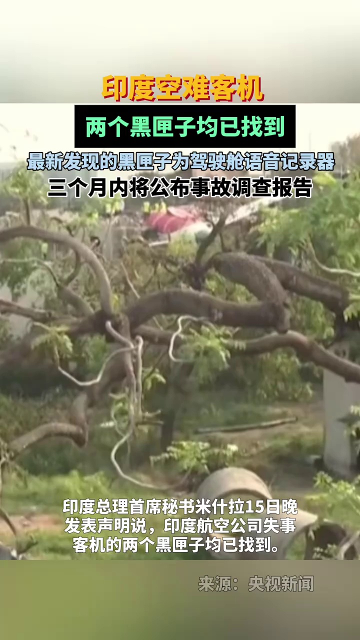 印度空难客机两个黑匣子已找到