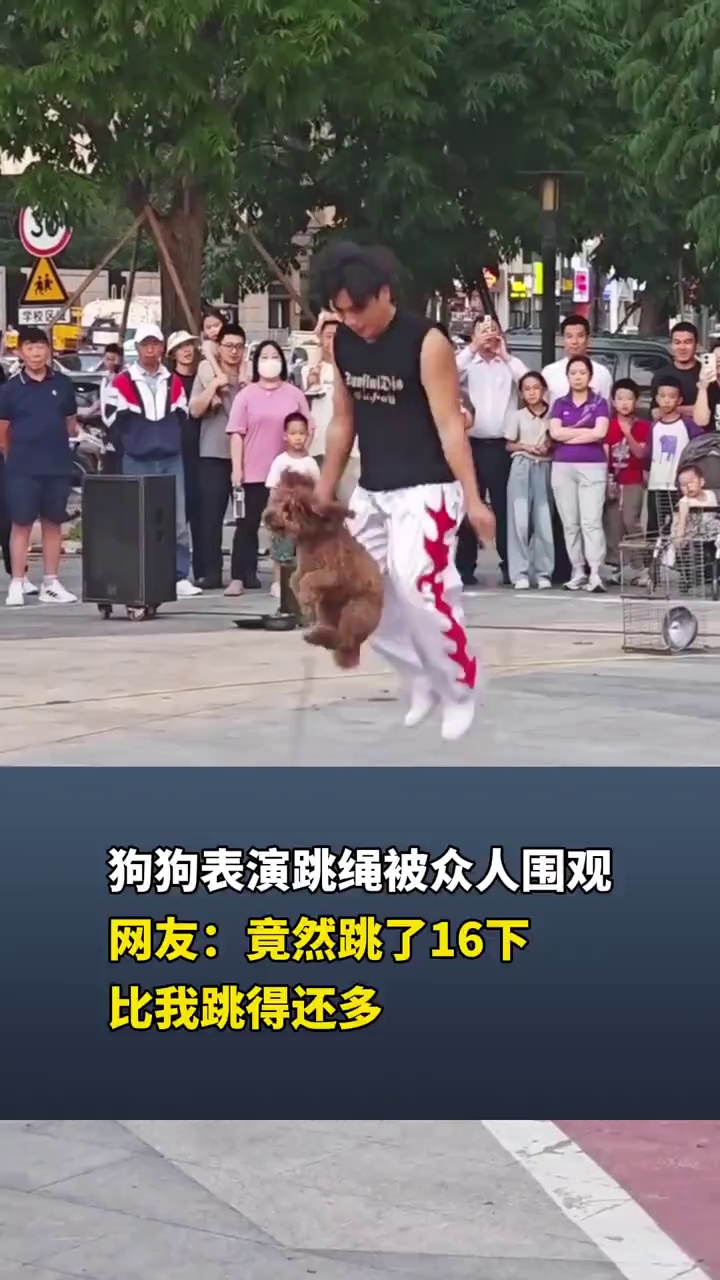 狗狗表演跳绳被众人围观，网友：竟然跳了16下，比我跳得还多