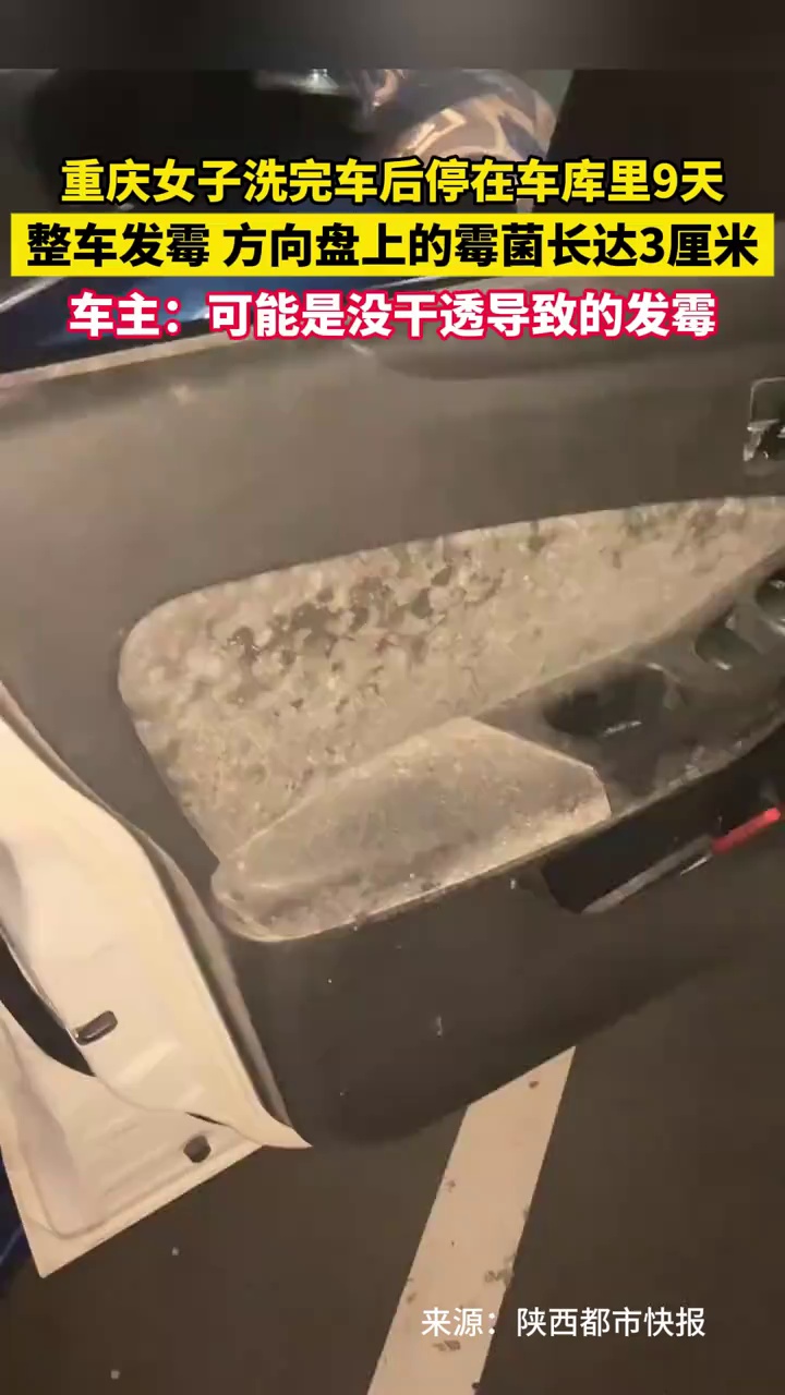 女子洗完车后停在车库里9天，整车发霉，方向盘上的霉菌长达3厘米