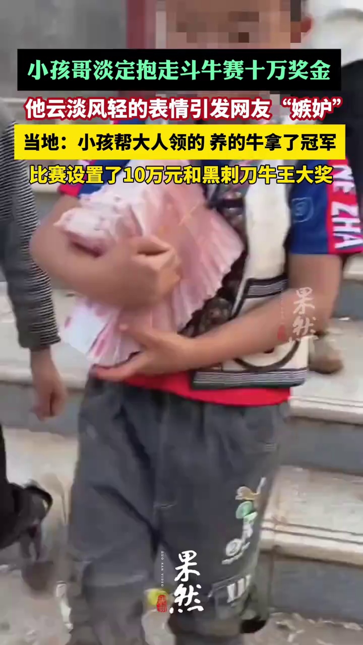 小孩哥淡定抱走斗牛赛十万元奖金，当地：小孩帮大人领奖，养的牛拿了冠军（极目新闻）