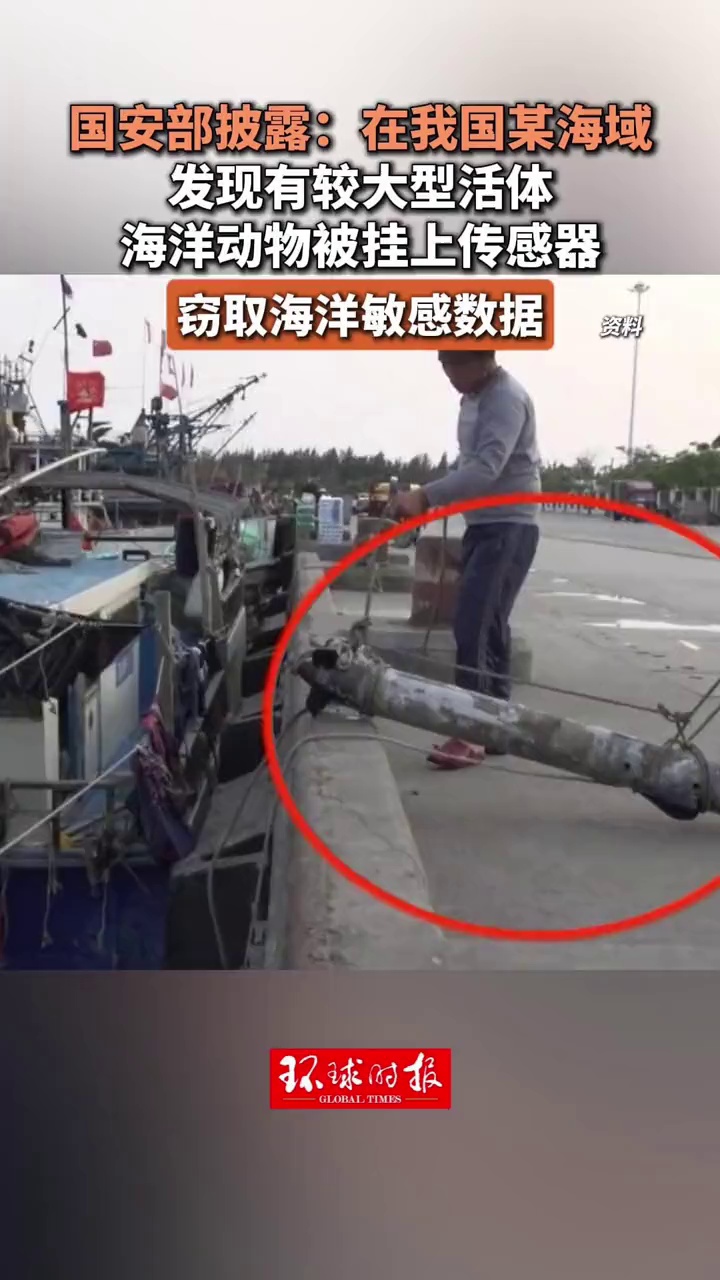 国安部披露：在我国某海域发现有较大型活体海洋动物被挂上传感器，窃取海洋敏感数据