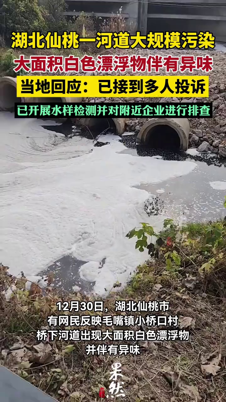 湖北仙桃一河道大规模污染 当地回应