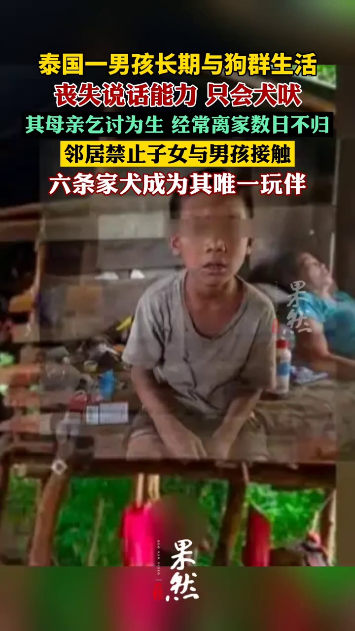 泰国一男孩长期与狗群生活丧失说话能力只会犬吠（潇湘晨报）