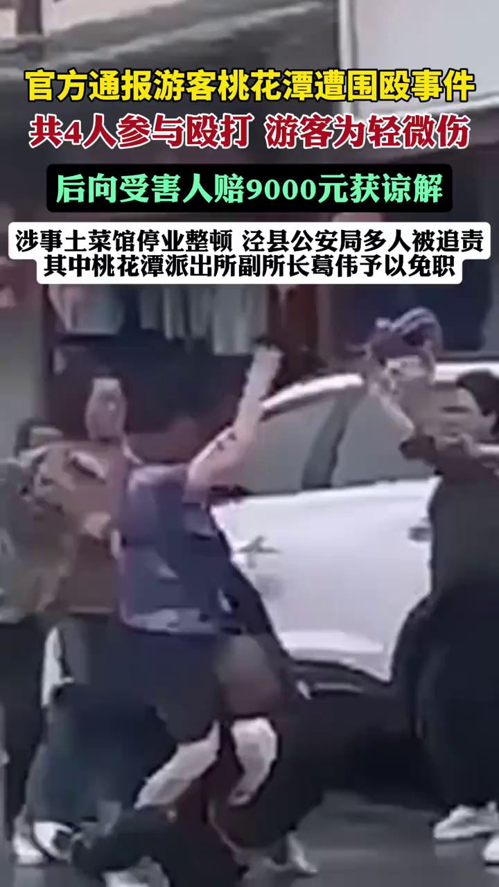 官方通报游客桃花潭景区遭殴打事件（九派新闻）