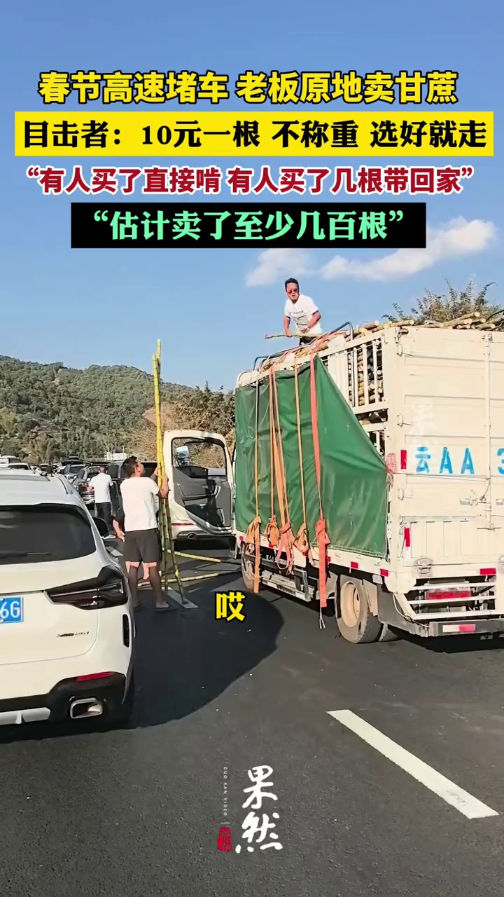 高速堵车老板原地卖甘蔗，目击者发声：10元一根，不称重，选好就走