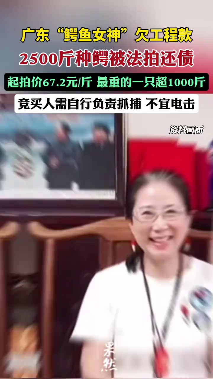 “鳄鱼女神”欠工程款，2500斤种鳄被法拍还债，最重的一只超1000斤，竞买人需自行负责抓捕，不适宜电击（九派新闻）
