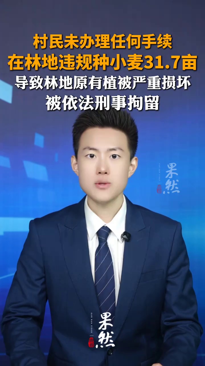 村民违规间种小麦31.7亩被刑拘