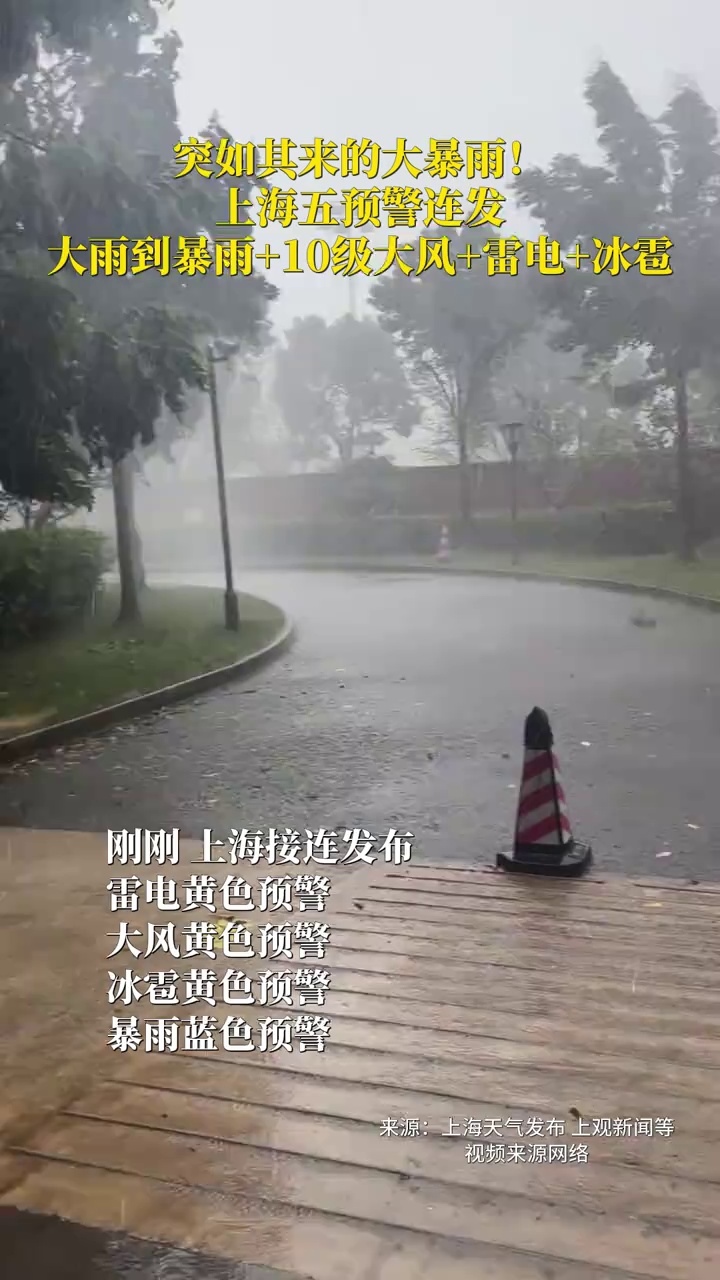 突如其来的大暴雨！上海五预警连发，大雨到暴雨+10级大风+雷电+冰雹