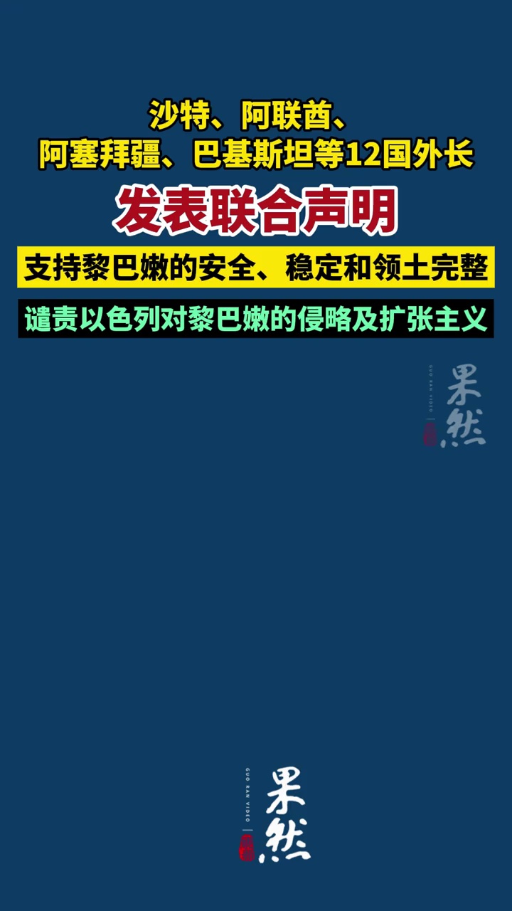 沙特、阿联酋、阿塞拜疆、巴基斯坦等12国外长发表联合声明