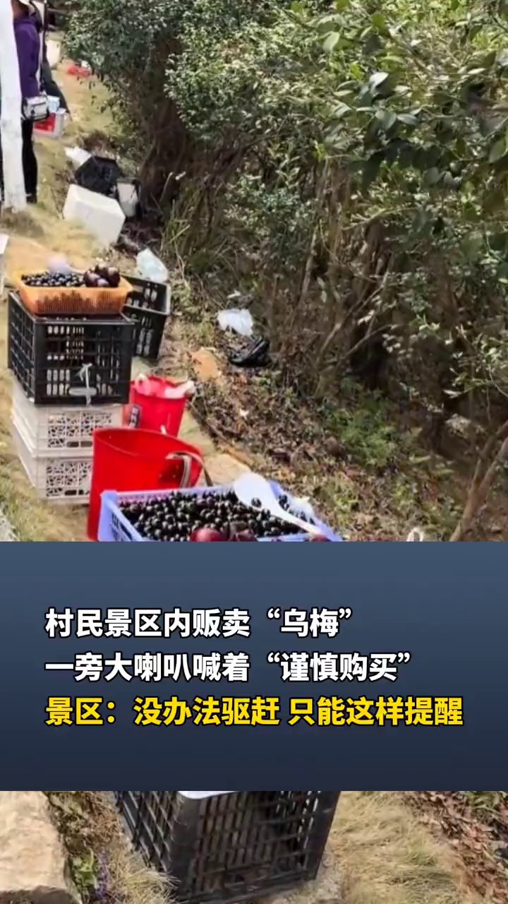 村民景区内贩卖“乌梅”，一旁大喇叭喊着“谨慎购买”，景区：没办法驱赶，只能这样提醒