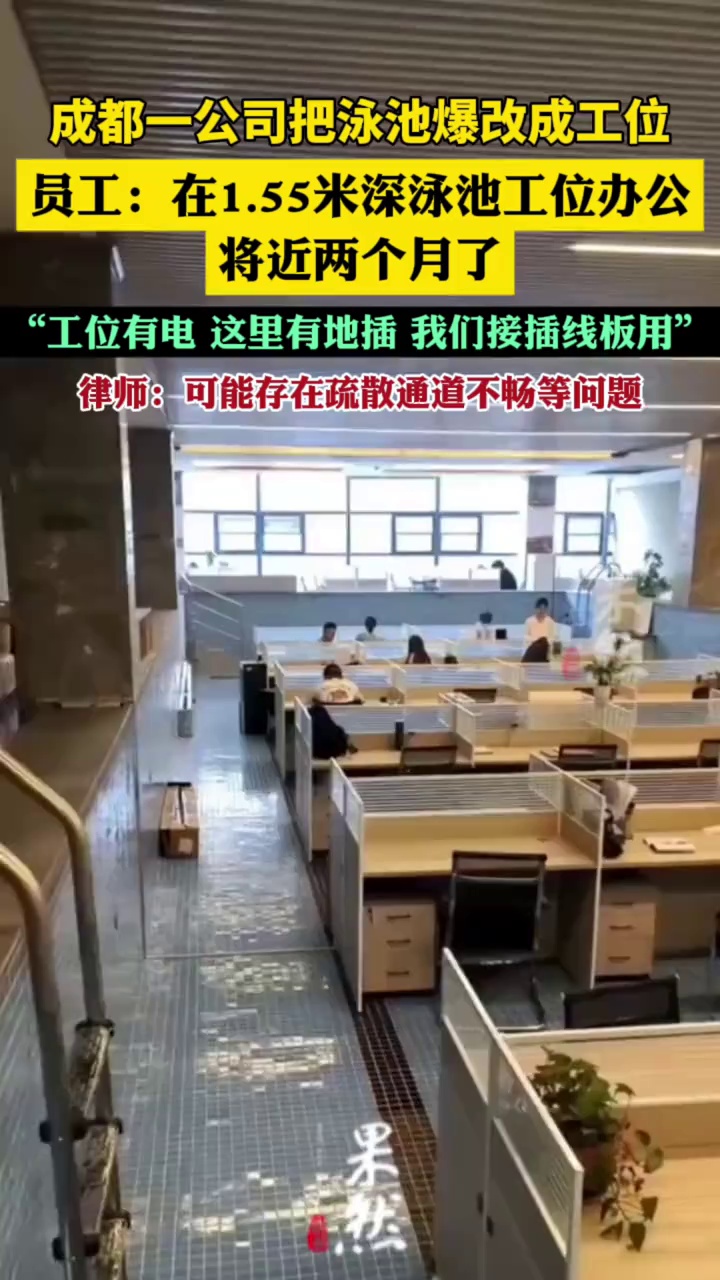 成都一公司把泳池爆改成工位（封面新闻）