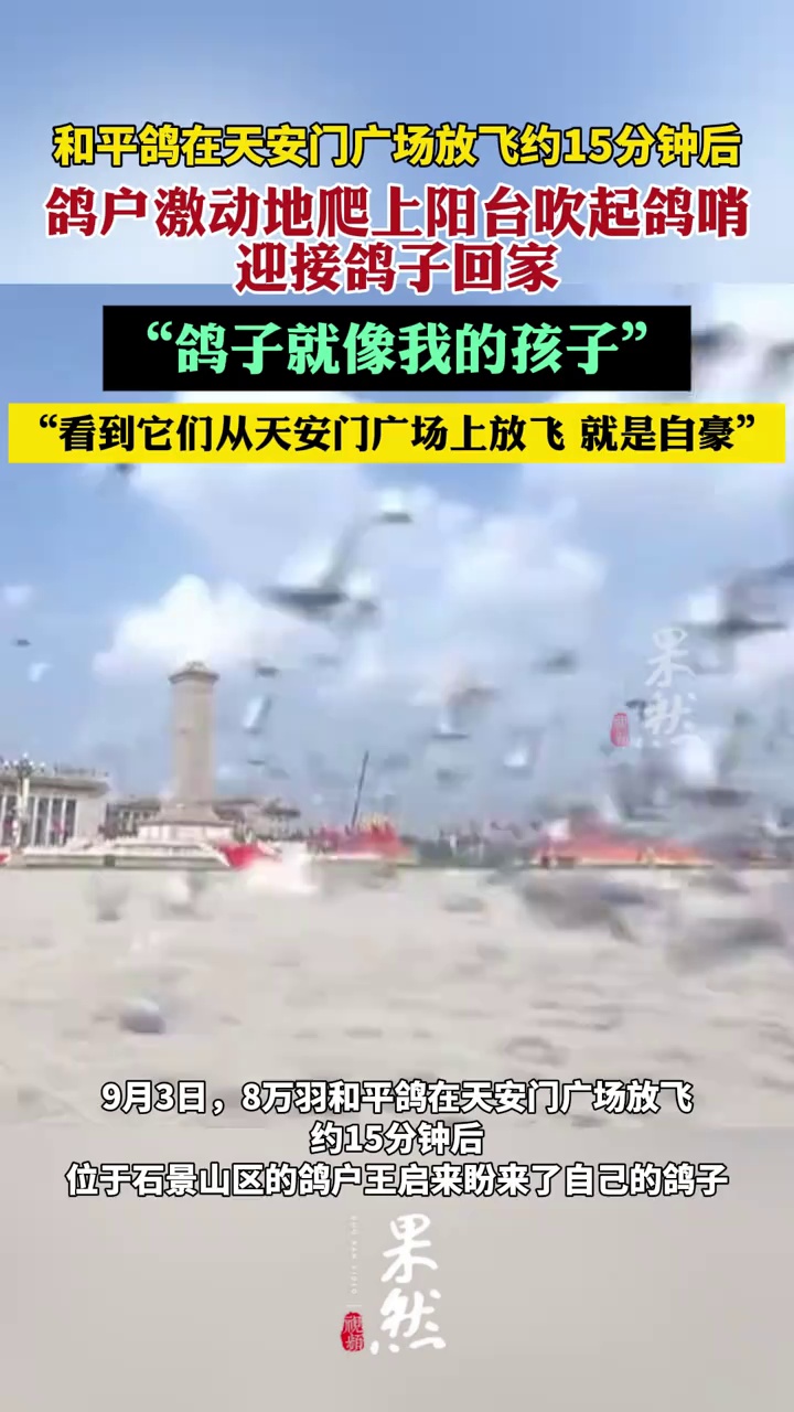 天安门广场放飞的鸽子到家了（北京日报）