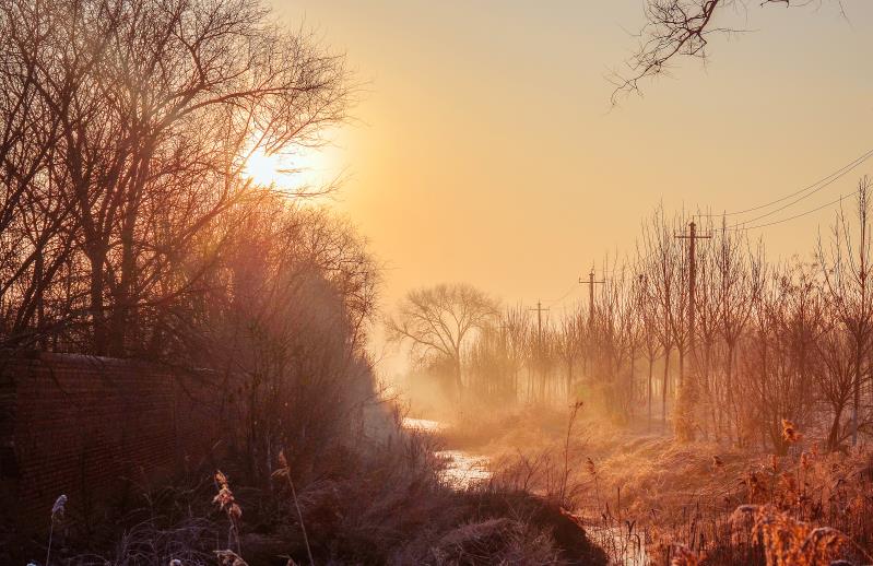 【原创】冬日暖阳下的窗台（散文）