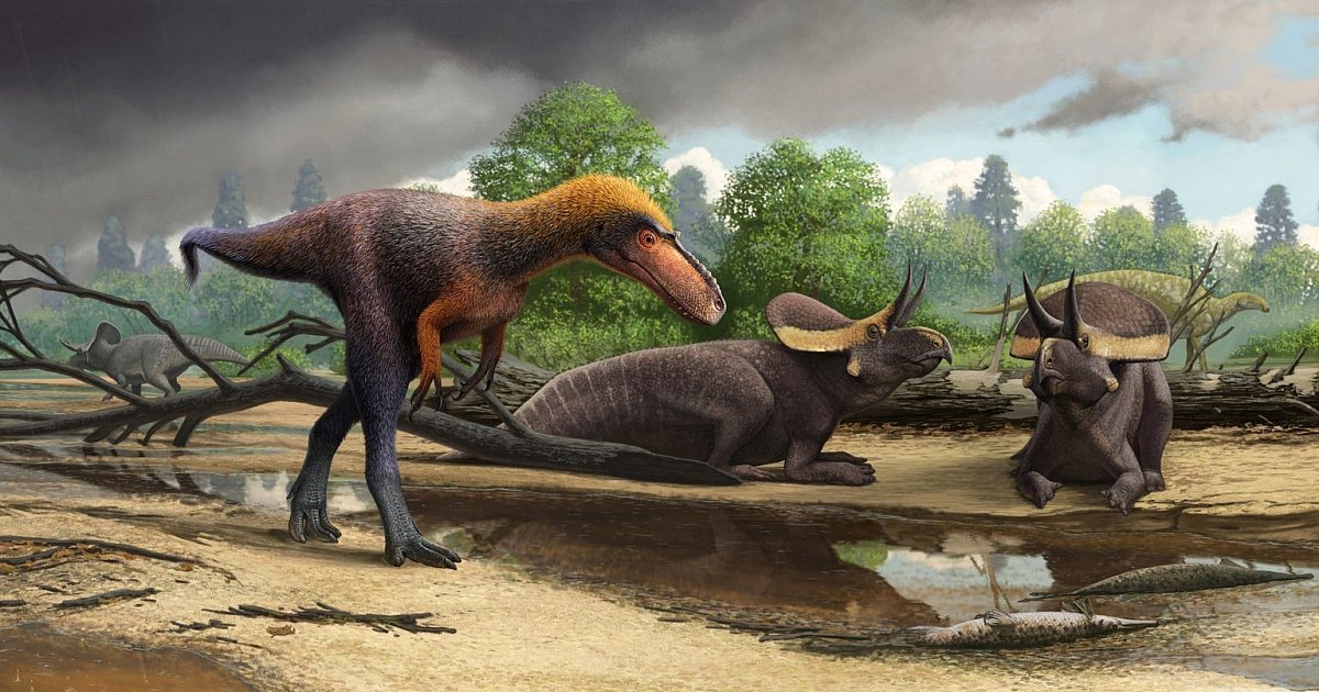 科学杂志评出2019年十大古生物化石发现