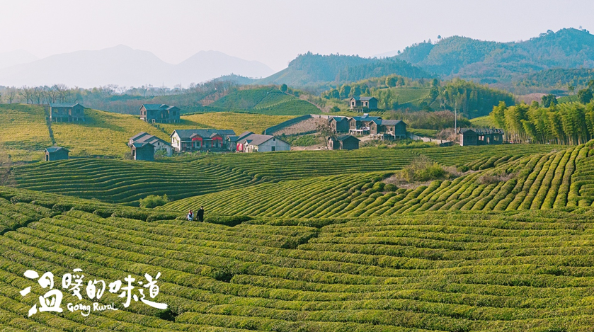 《温暖的味道》今晚开播，靳东领衔实力派聚焦乡村致富之路