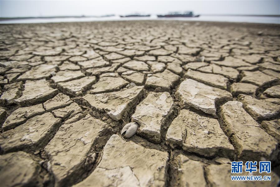 全国受旱耕地713万亩水利部派组赴旱情较重三省指导抗旱