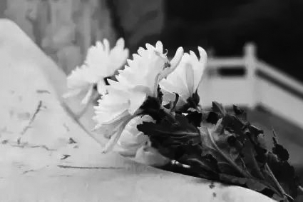 他们一直有一个愿望,就是能找到他们的牺牲和安葬地,在清明节前往悼念