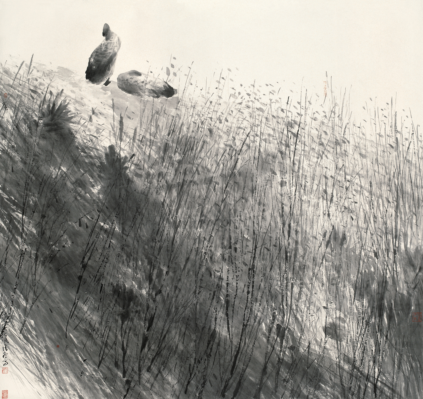 "大匠之门——全国60后花鸟画十名家展"参展画家·姚晓冬