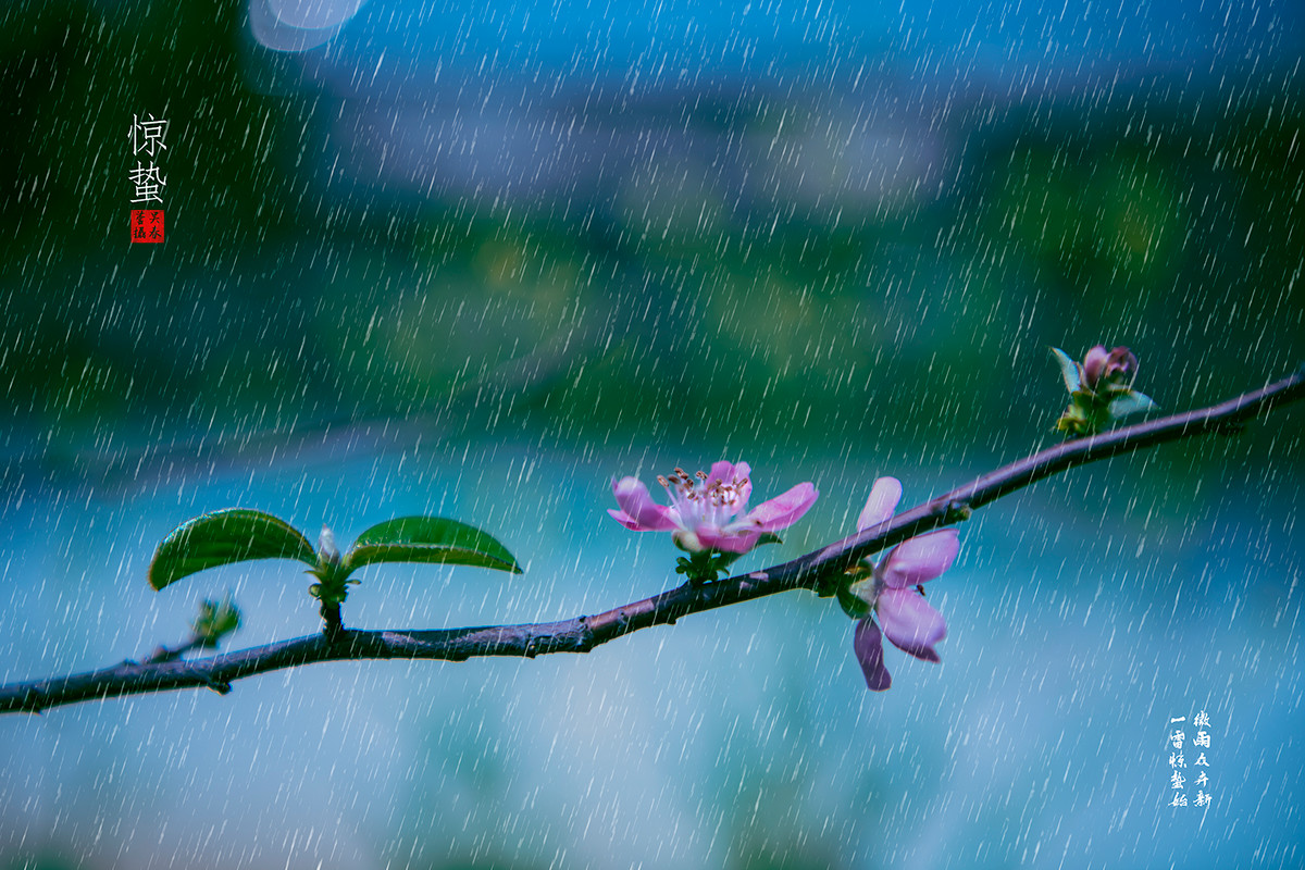 不如送我一場春雨