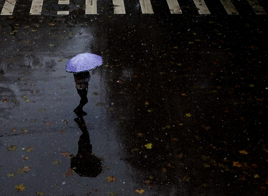 我人生的道路也便如此慢慢的走過,如這細春雨,平淡清新.