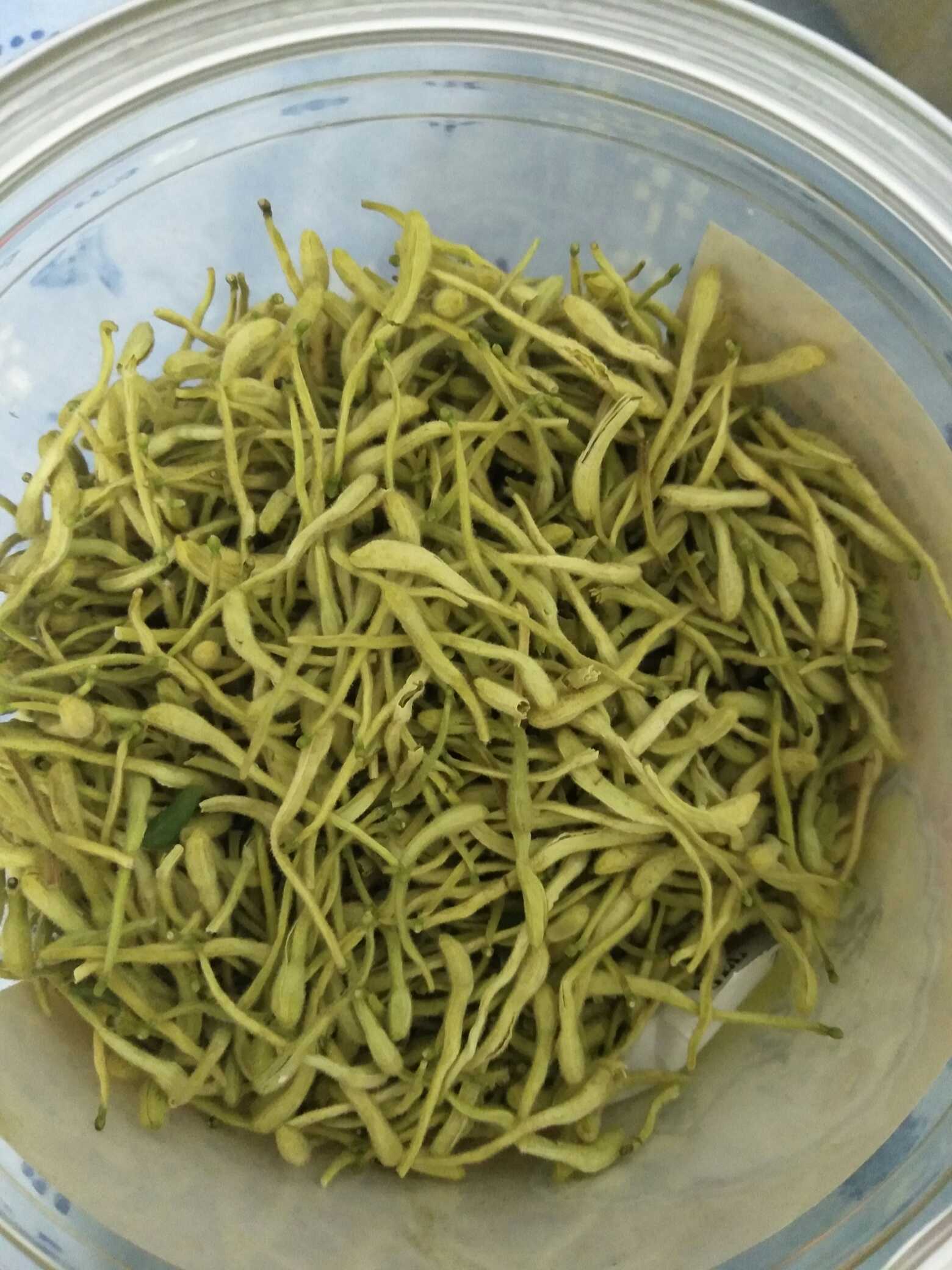 问壹点春日识草季来袭快来和答人们解锁中草药的养生图鉴